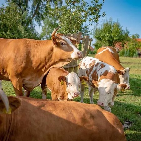 Apartman Kapellenhof Herdwangen-Schönach